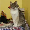 Отзыв от Арина Казакова